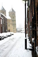 Basiliek in besneewde straat