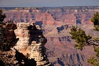 Grand Canyon USA