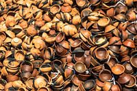 alte Teetassen, Sri Lanka