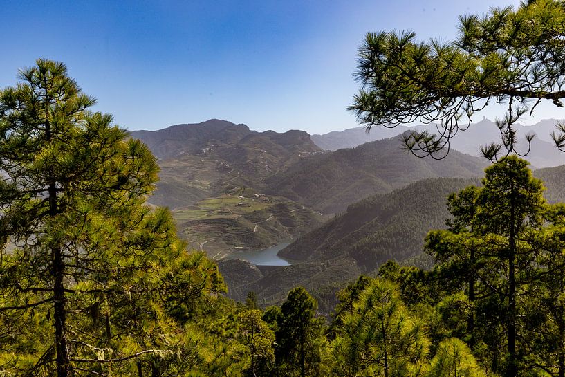 Parque Natural de Tamadaba by Easycopters