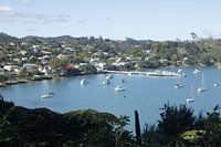 Die Bucht in Paihia