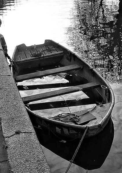 Nature in unexpected places (2018) by Eric Oudendijk