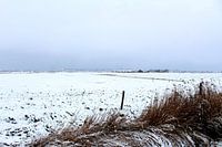 winterpolder