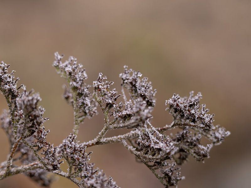 nature is ripe by MvdP fotografie