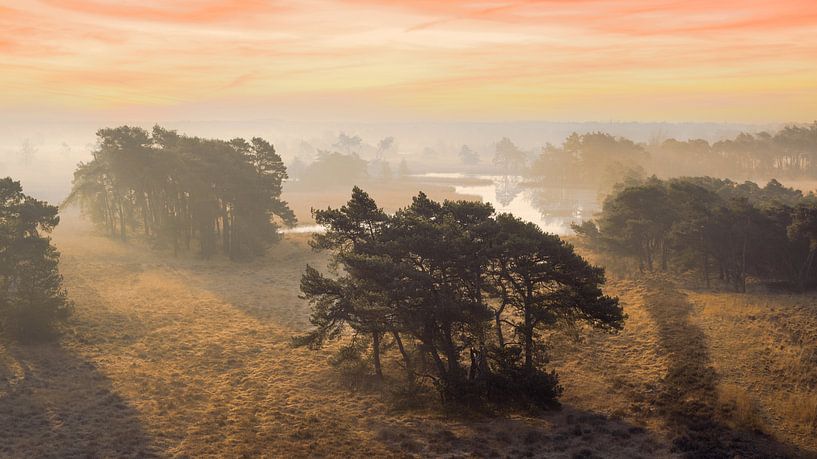 ondes matinales par Stefan den Engelsen