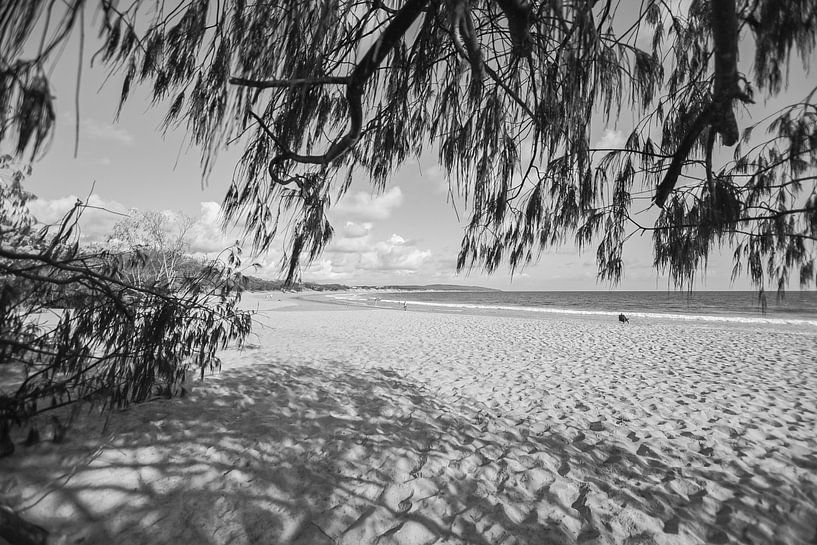 Strandleben am frühen Morgen von DsDuppenPhotography