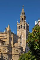 Seville, golden tower, plaza de espana, La Giralda , Andalucia, Spain