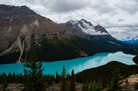 Peyto Lake - Canada