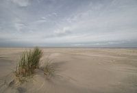 Strand von Terschelling