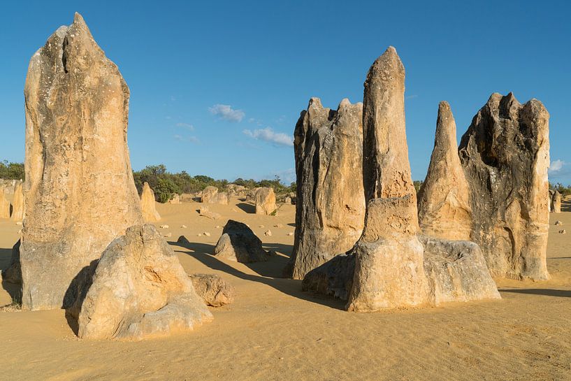 Nambung National Park, Western Australia by Alexander Ludwig