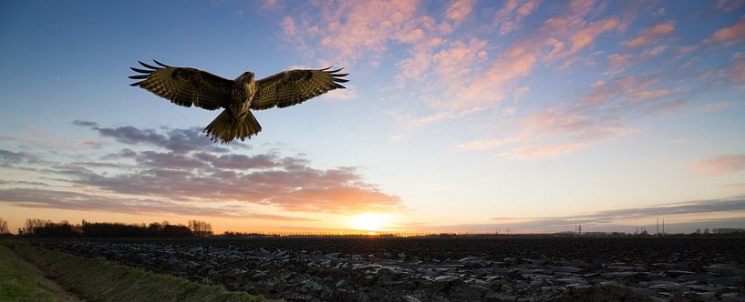 Without sound par Nildo Scoop