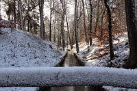 Chute d'eau de Loenen
