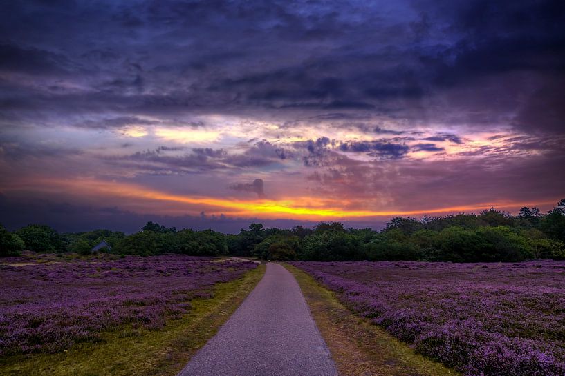 The Owl Trail by peterheinspictures