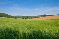 Fields and forested mountains of a low mountain range in Germany