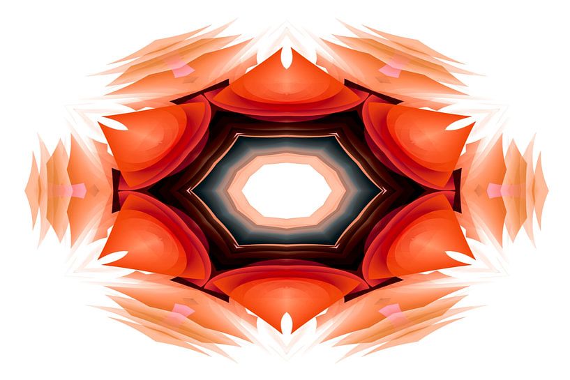 Oranĝbruna floro von Henk-Jan van Tuyl