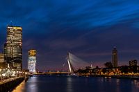 Blaue Stunde Rotterdam