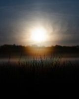 Wässriger Sonnenaufgang über nebligem Rasen