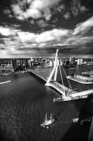 Erasmus Bridge Rotterdam