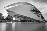 Calatrava Valencia Schwarz &Ampel; Weiß