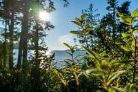 Canada Vancouver Landscape