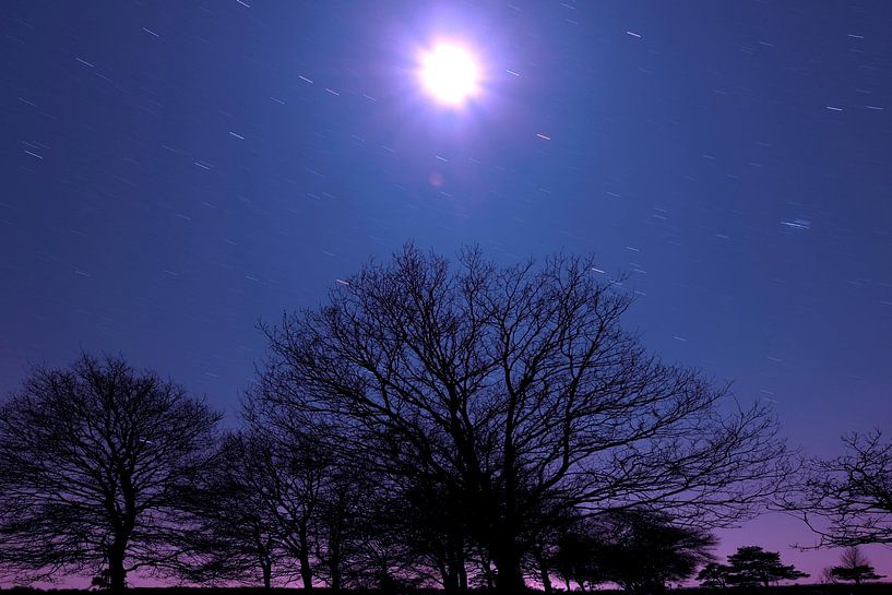 Photo de nuit avec la lune dans le Dwingelderveld par Ronald Wilfred Jansen
