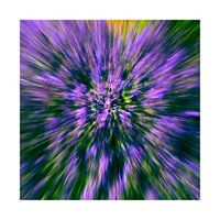 Zoom blur photography