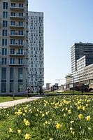 Architektur Antwerpen