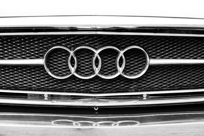 Audi von Elles Rijsdijk