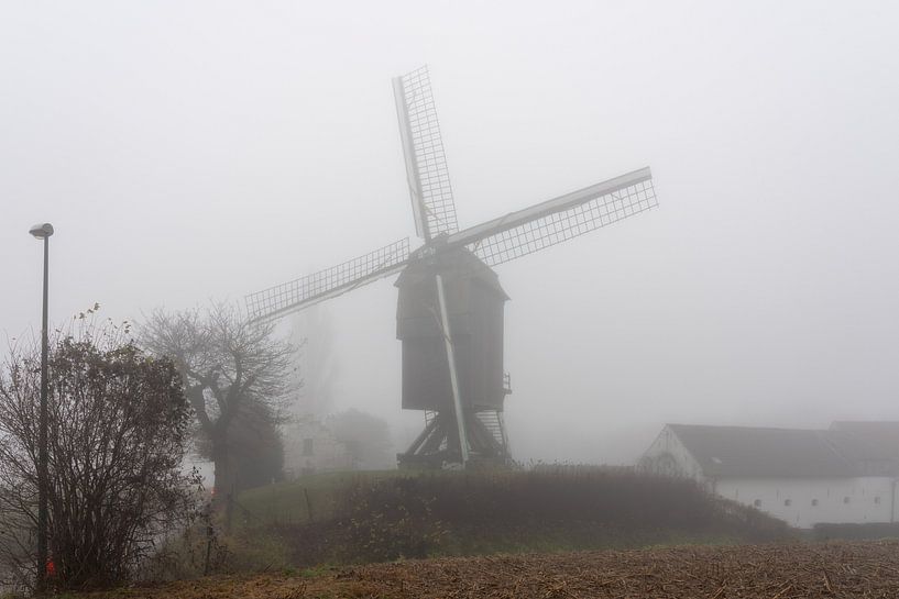 Un beau matin avec un vieux moulin (Hertboommolen) par Marcel Derweduwen