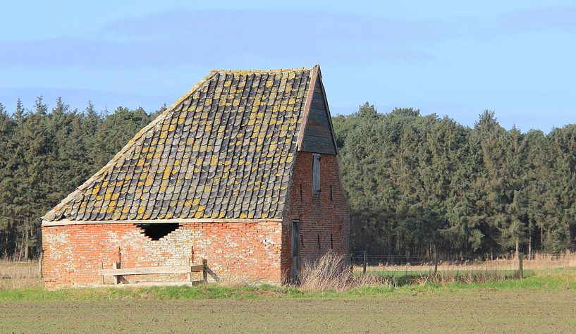 Moutons - amende par Jose Lok