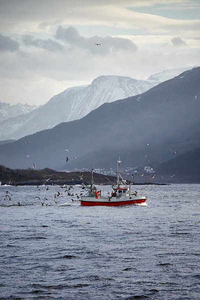 Winter landschap en vissersboot en meeuwen op Godøy, Ålesund, Noorwegen van qtx