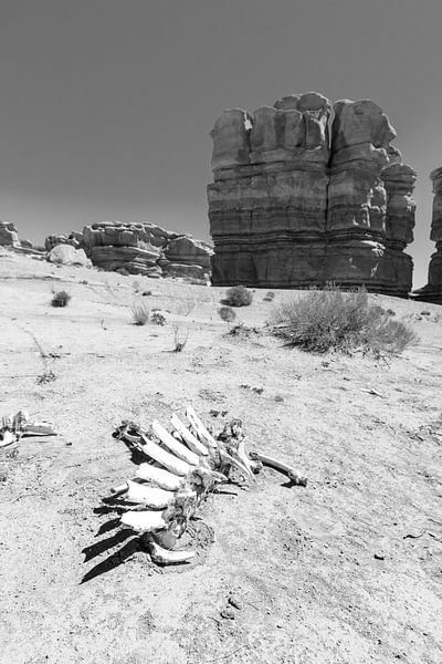 Skeleton in the desert by Gerben Tiemens