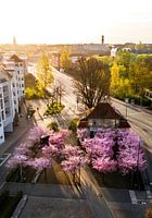 Frühling an der Fürther Billinganlage