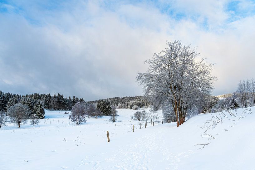 Landschaft im Winter im Thüringer Wald in der Nähe von Schmied von Rico Ködder