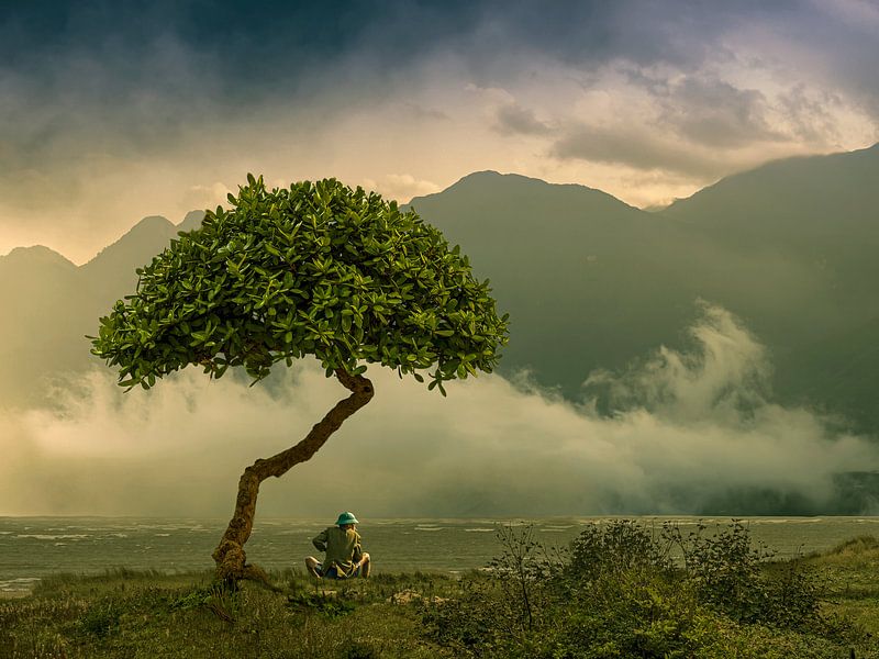 Réflexions par Ton Buijs