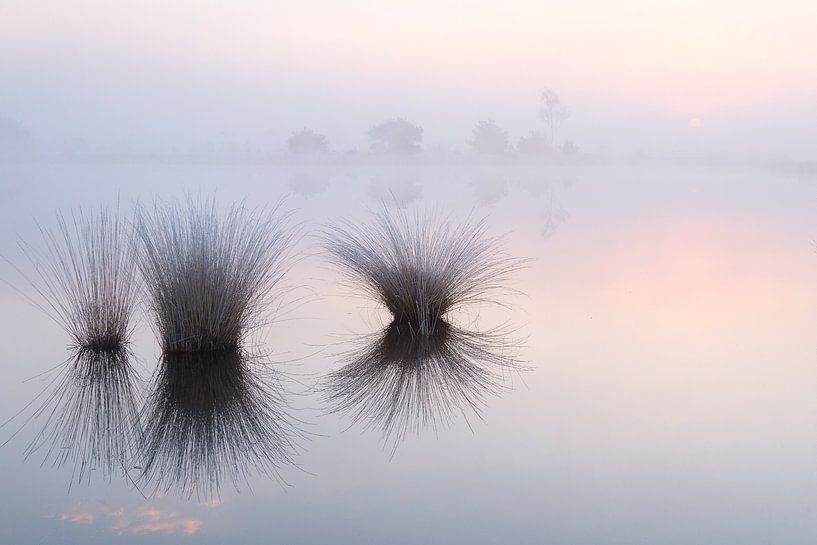 Trennungsvereinbarung von Joep de Groot