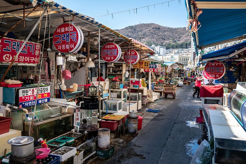 Jagalchi fish market in Busan by Mickéle Godderis