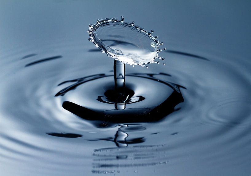 Blauwe spetter par Dennis van de Water