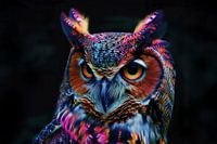 die weise bunte Eule fineart Kunstwerk modern