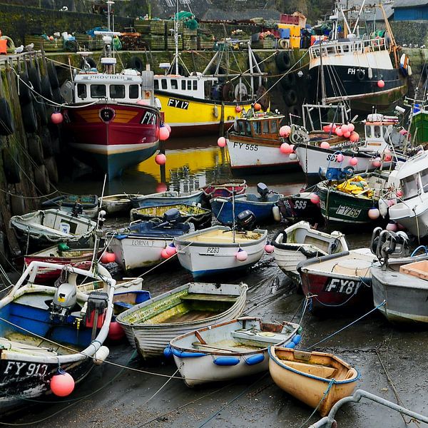 Keine Landwirte - keine Lebensmittel&#039; von Tymn Lintell
