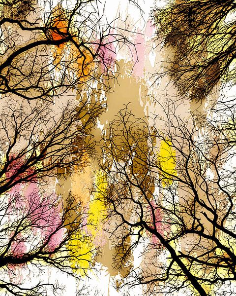 Forêt ensoleillée par Mad Dog Art