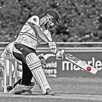  Cricket Sport Kunst - Quick Den Haag