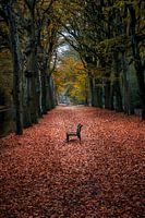 Einsame Bank in herbstlicher Stille
