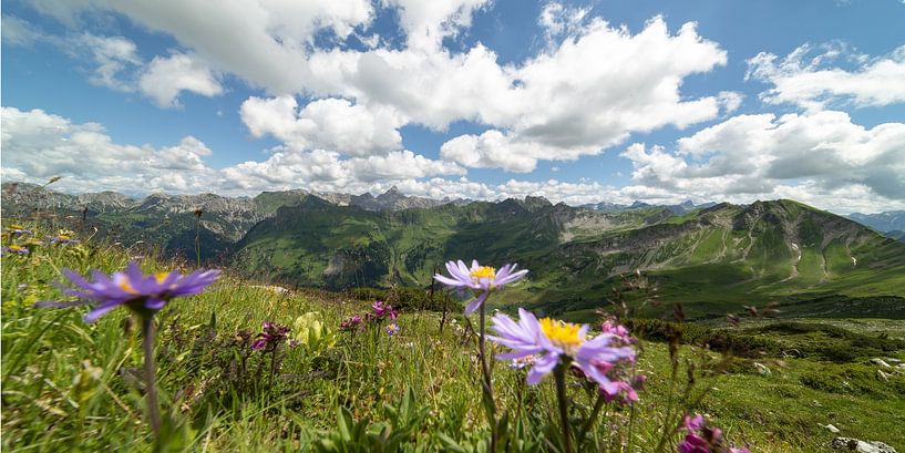 Blüten, Berge, Ewigkeit – Ein Sommertag im Allgäu von Walter G. Allgöwer