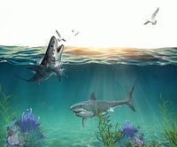 Photoshop: Haifischkunst