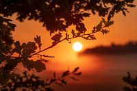 Een orangje gloed verovert de ochtend