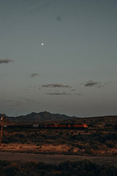 Train Arizona by KUNSTBLOC | Anca Blok