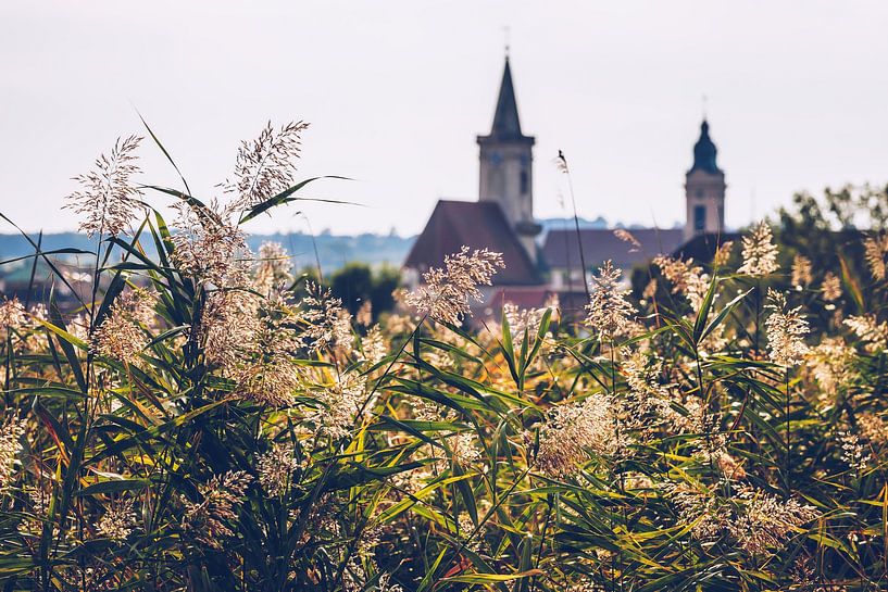 Rust am Neusiedlersee (Burgenland, Österreich) von Alexander Voss