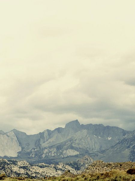 Bishop Mts. by Gemma Bardot