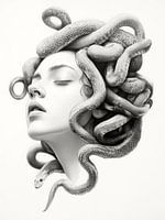 Medusas Metamorphose - Zwischen Mythos und Moderne